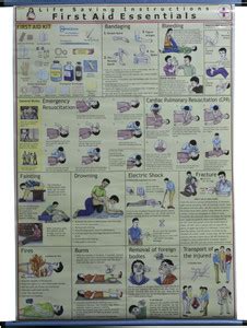 ROLLUP CHART OF LIFE SAVING FIRST AID (PIPE MOUNTED) Photographic Paper ...