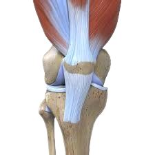 Knee Joint Preservation Surgery In Yavatmal - Dr. Barik's Orthocare Clinic