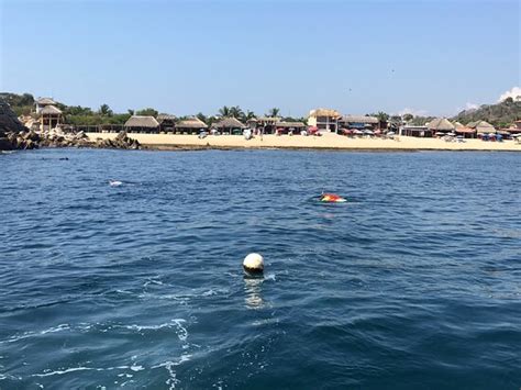 Top Tours Huatulco - Crucecita | Tripadvisor