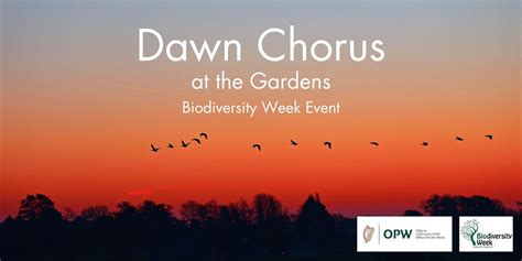 Biodiversity Week Event: Dawn Chorus, Botanic Rd, Dublin, Ireland D09 ...