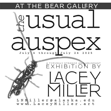July 4, First Friday Event , Bear Gallery, Fairbanks, 4 July 2025 ...