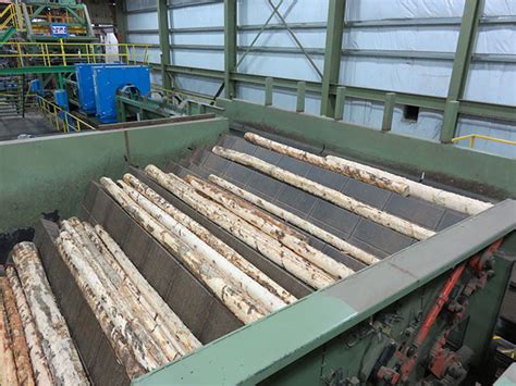 Image result for Infeed Long Log Strander