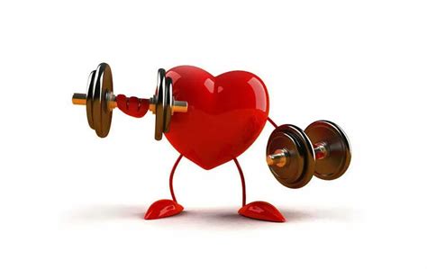 Take Care Of Your Heart - Body Building India
