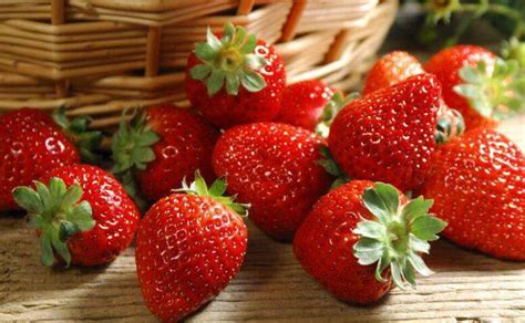 草莓一年几熟-农百科
