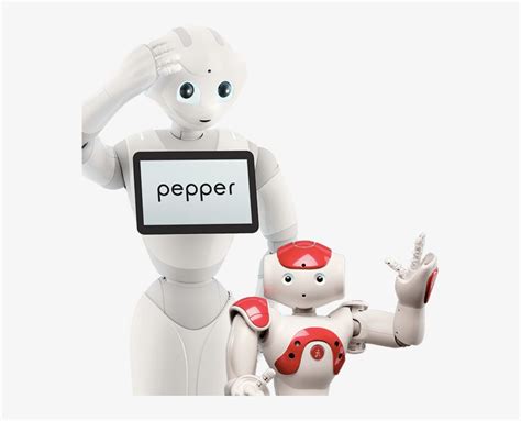 Pepper Nao Robots 的图像结果