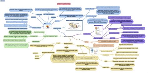 mind mapping sistem kardiovaskuler