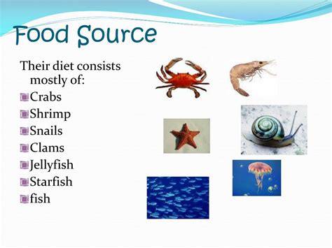 Kemps_source