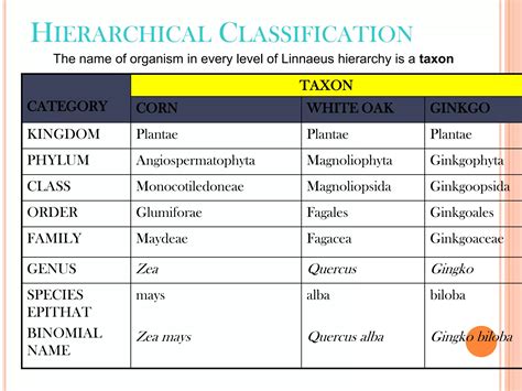 Plant Classifications Explained 的图像结果