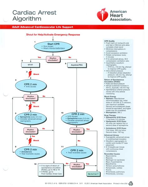 ACLS Algorithms 2020 的图像结果