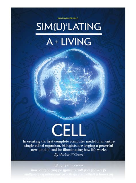 Cell Simulation 的图像结果