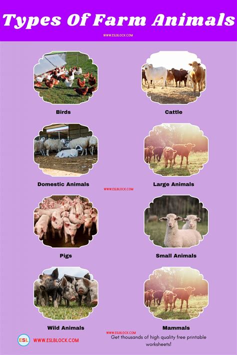List Of Farm Animals: Different Types of Farm Animals in 2023 | Farm ...