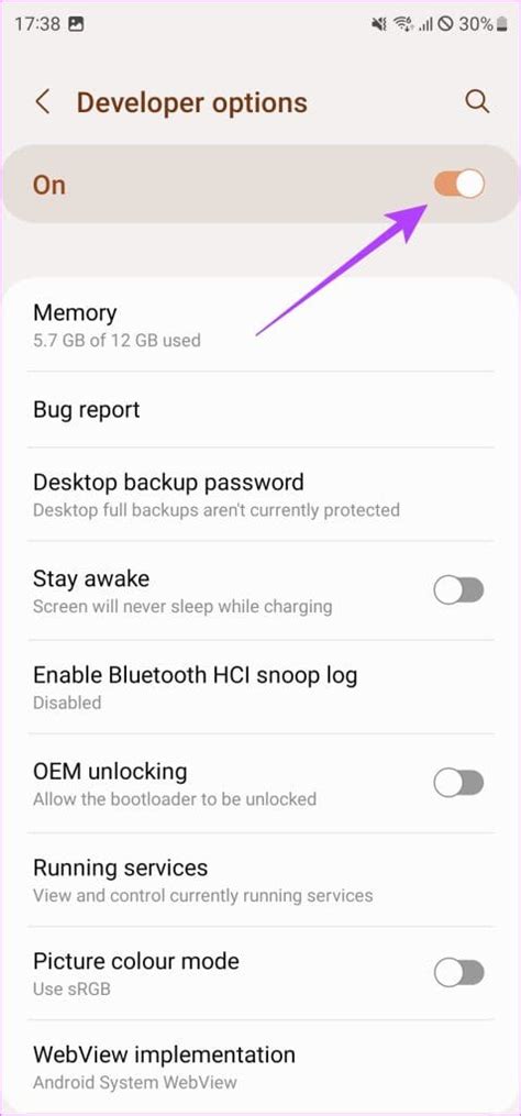 Task View Developer Options 的图像结果