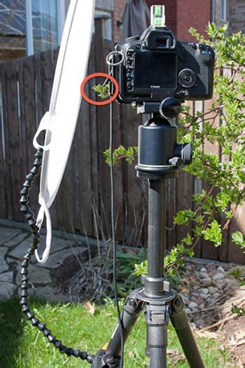 Photography Diffuser - Ultimate Photo Tips