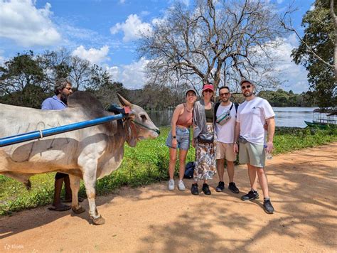 From Colombo to Sigiriya & Dambulla Day Tour - Klook India