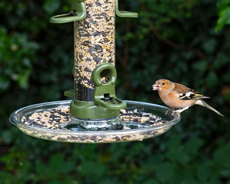 Garden Bird Food | Bird Feeders, Nest Boxes - Living With Birds, Jacobi ...