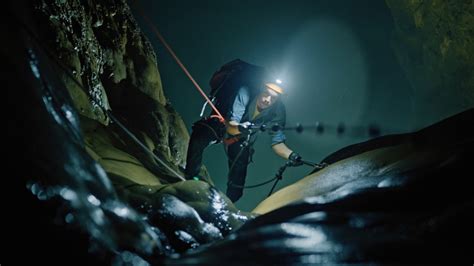 Image result for Checker Tobi