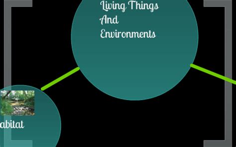 Ecosystem Bubble Map 的图像结果
