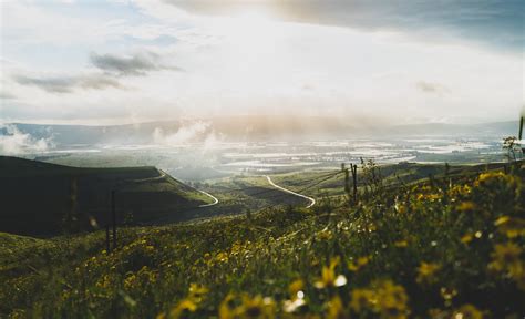 Improvements in Israel's Agriculture - BORGEN