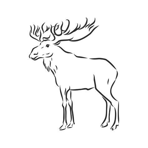 Elk Clip Art Black White