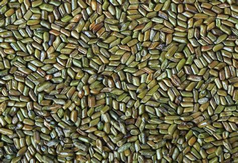 Bakal Universal Private Limited - W Series Agricultural Cultivator ...