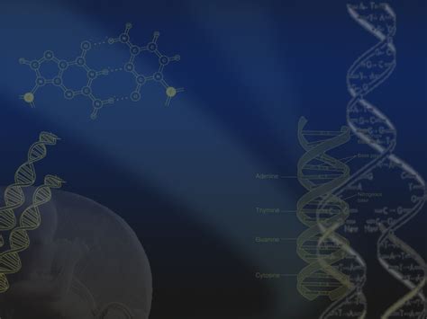 Genetics PowerPoint Backgrounds 的图像结果
