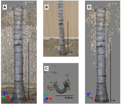 Mobile Terrestrial Photogrammetry for Street Tree Mapping and Measurements