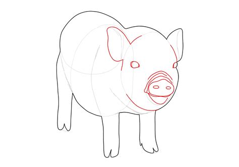 How to Draw a Pig | Design School