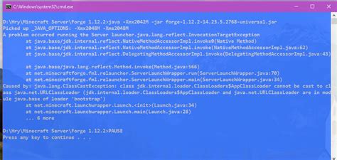 Image result for Server Launcher.java.lang.reflect.invocationtargetexception