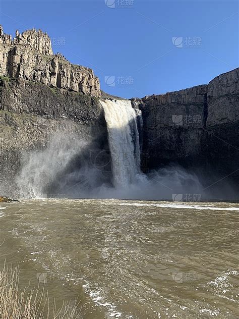 华盛顿州 帕卢斯 的图像结果