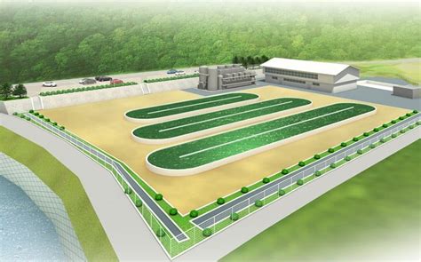 Denso plans test facility to produce biofuel from microalgae | Autocar ...