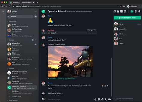 Open Source Videoconference 的图像结果