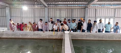 GADVASU - Guru Angad Dev Veterinary And Animal Sciences University