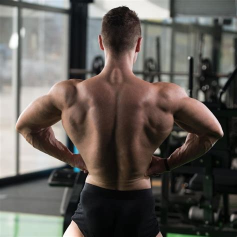 10 Barbell Back Exercises To Build Muscle And Strength - Workout Guru