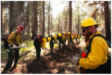 Wildland Firefighter Graphics