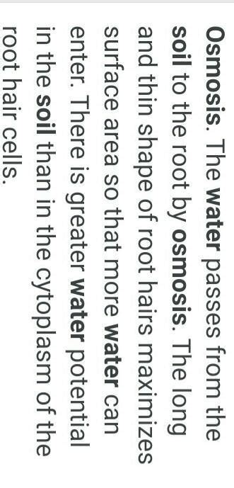 please answer this question. - Brainly.in