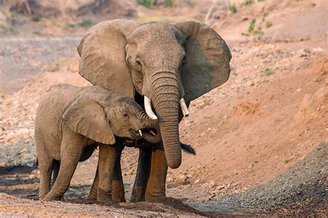 Topo 的图像结果