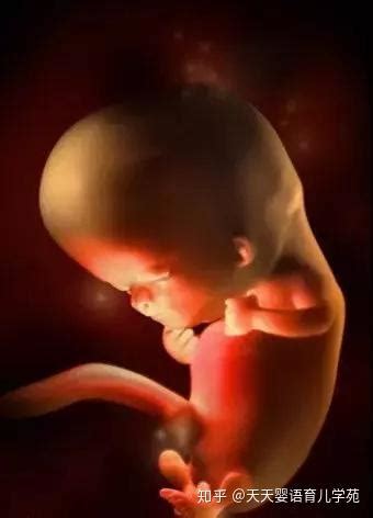 你听说过吗？女人可以在怀孕期间再怀孕，育有不同胎龄双胞胎！_腾讯新闻