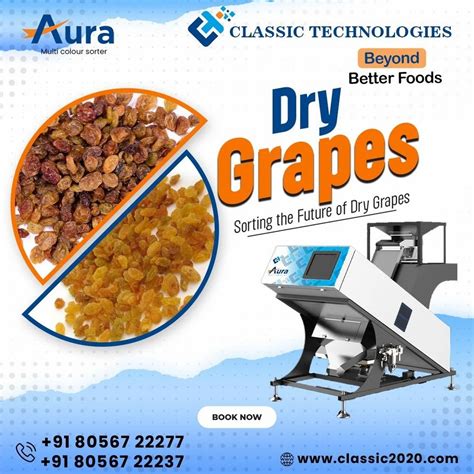 Image result for Sortex Machine