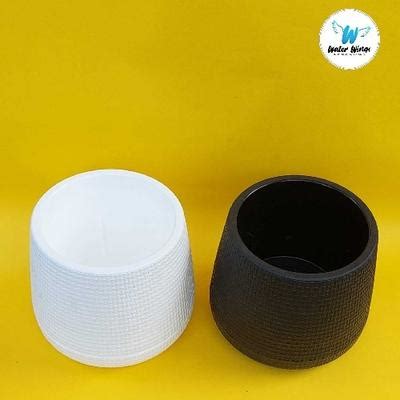 Water Wings - Order Online