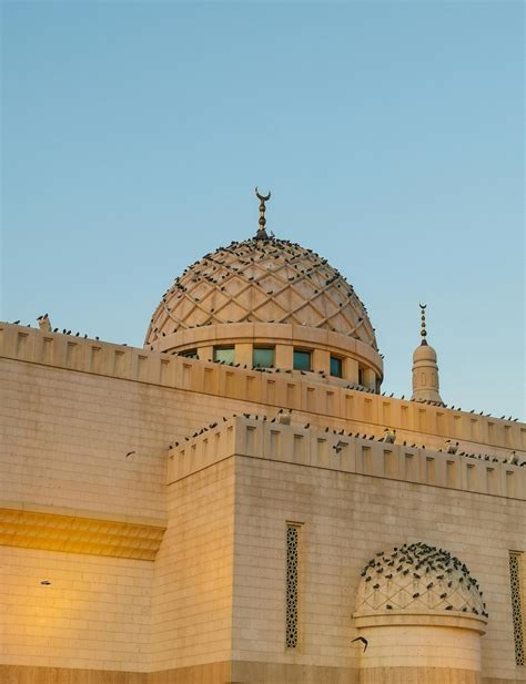 Islam Animation 的图像结果