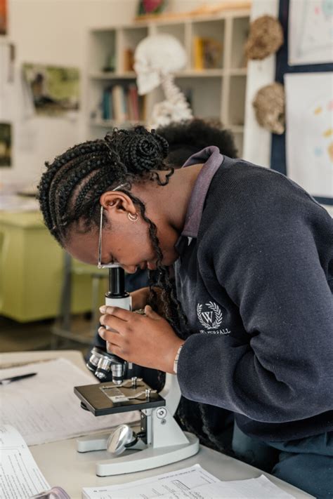 Image result for Waterfall Learning