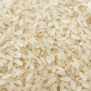 Swarna Non Basmati Rice Supplier from Gir Somnath