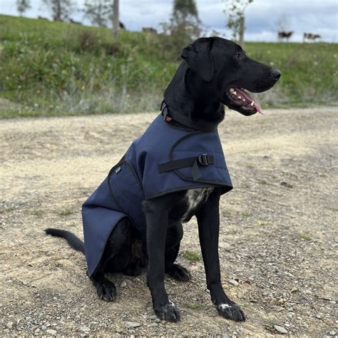 Waterproof Wool lined Dog Jacket-New Zealand Made