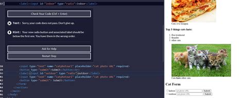 Image result for Freecodecamp HTML