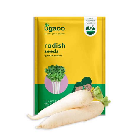 Buy Quality Microgreen Seeds In India for Fresh, Nutritious Harvests ...