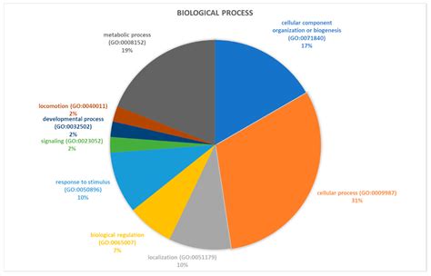 Proteomic Study Identifies Glycolytic and Inflammation Pathways ...