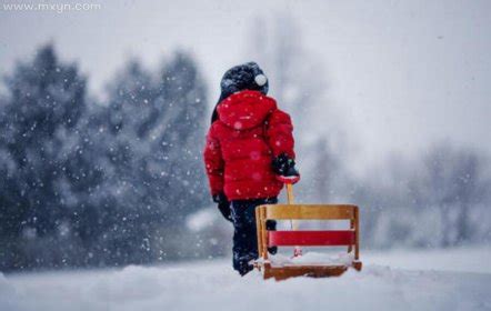 梦见自己在下雪中的街道上行走是什么意思预兆 - 原版周公解梦大全