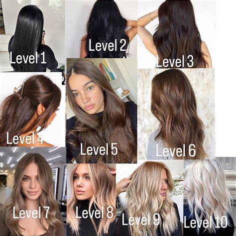 Levels of hair color | Levels of hair color, Hair levels, Redken hair color