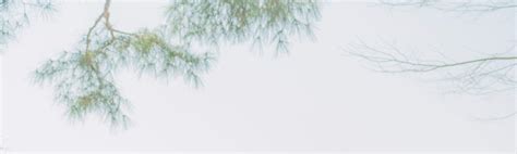 Hanbok Rental Experience in Seoul - Klook India