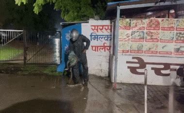 डीग के जंगल में आसमान से गिरा उल्का पिंड नुमा बर्फ का टुकड़ा , जमीन में ...